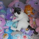 오늘 시험 4시간 <b>자고</b> 쳤당