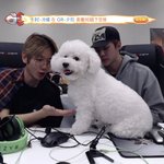 [EXO] 이 사진 비비 <b>합성</b>한줄