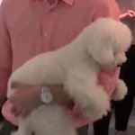 [EXO] 이랬던 비비가....