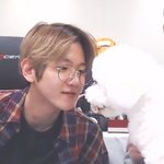 [EXO] 다음에는 <b>변백현</b> 개로 태어나야지