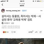 문과충봐라