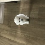 [EXO] 우리 애도 <b>음청</b> 커지려나