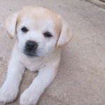 중학교 시험기간 <b>벼락</b>치기 꿀팁 알려준다 다 들어와