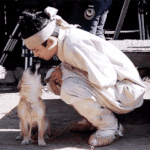 엑소랑 뽀뽀하는 <b>댕댕이들</b>