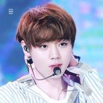 [<b>키위</b>] 퇴근좀