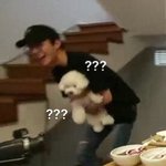 강아지 <b>확대</b>범 엑소 세훈