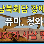 <b>어미</b>퓨마 너무 불쌍하다 어떡해..ㅠ 새끼들 이상행동 보인대..