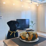 [내가한요리] 나말고 우리집 똥강아지 밥상2