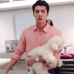 이거 강쥐개기여워....ㅠㅠㅠㅠㅠㅠ