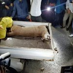 [드루와] <b>퓨마</b> 가지고 감성팔이좀 쳐하지마라