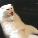 [댓글부탁해] <b>윤솔</b>미 라는 이름 ㅇㄸ