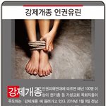 고발당하는  한기총