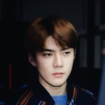 [세훈] 180920 제냐 <b>런칭</b>쇼 프리뷰13