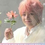[EXO] 뿡퀴년들이 단체로 <b>자살</b>해야하는이유