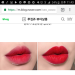 [댓글부탁해] 뭐가 더 비슷해??