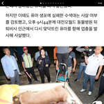 진짜 쳐돌았네 아옺ㄴ짜