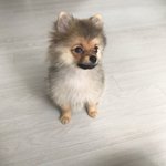 확인부탁드려요