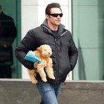 반려견 특이하게 안고가는 <b>헐리</b>웃 스타들