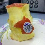 게으름이 <b>최고치</b>인 사람들