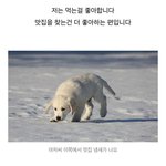 [내가한요리] [남편<b>세끼</b>] 연남동 맛집의 마늘쫑 파스타를 집에서...