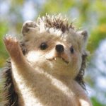 <b>루나</b>파데 써본사람