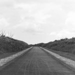 다들 추석<b>때</b> 내려가<b>넹</b>