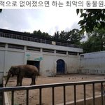 +대구 달성공원 <b>청원</b>/ 이전