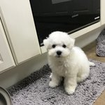[EXO] 울 <b>이뿌니</b> 보고가