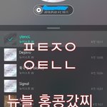 [뉴이스트] 뉴블 홍콩갔지 (디패)
