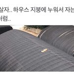 [조언부탁해] 얘들아 나 짝남생겼는데