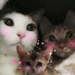 [강다니엘] 이번 <b>추석</b> 루피오녤 완전체 가족<b>사진</b> ㅅㅊ