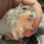 [드루와] 해외에서 도자기 만들다가 울뻔한일