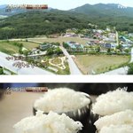 [댓글부탁해] 수요미식회 민물 <b>새우탕</b>