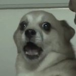나 판에서 기분<b>파임</b>