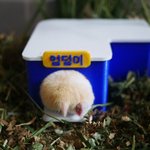 나 심리검사 결과나왔는데 우울증이랑 강박증 심각하대