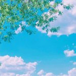 내신 5-6이 <b>인서울</b>가는거 불<b>가능</b>하진않음