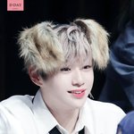 [강다니엘] 강다니엘 진짜 멈무같오