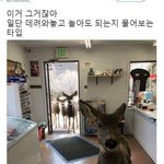 [조언부탁해] 찐따랑 놀아주라는 담임때문에 너무 힘들다