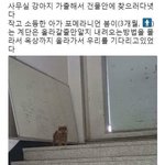 5<b>차원</b>어쩌구 게임 아는사람
