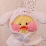 [조언부탁해] 나 고등학교 가려는데..