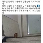 [댓글부탁해] 닌텐도 할 건데 추반 좀 해주고 강