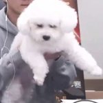 3개월만 있으면 미자탈출이다
