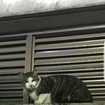 [댓글부탁해] <b>김건</b>아 임플란트 해버려야돼