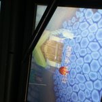 [EXO] 와우 나 집에서 닌턴도찾음