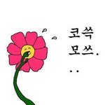 [댓글부탁해] 나 이름 추천 해줘!!!!