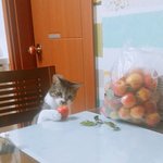 엄마가 소고기<b>무국</b>했는데 가족들반응 ㅈㄴ시원찮아서