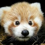 나만 <b>추석</b> 때 화장 안함...?