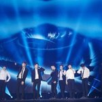 [EXO] <b>이상한</b>ㄴ 개많네