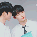[황민현] 티브이데일리 황민현<b>gif</b> (ㅌㅁㅈㅇ)