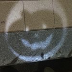 히히히 <b>개잼</b>잇움